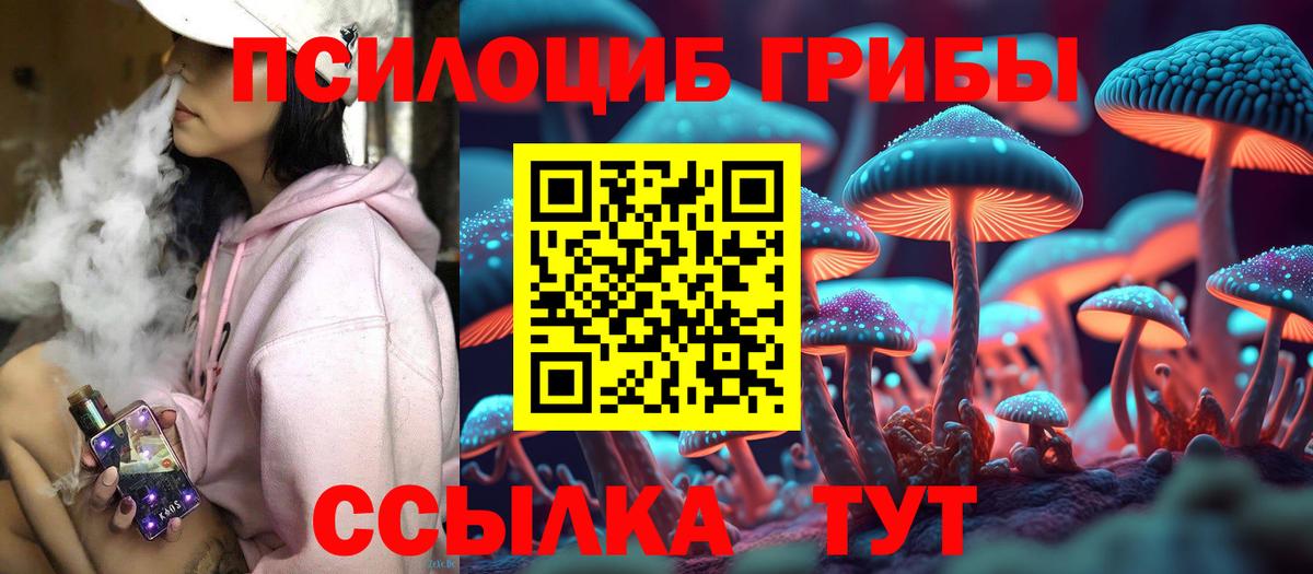 Галлюциногенные грибы мицелий  Псилоцибиновые грибы мухоморы  Фрязино  Вход с VPN 